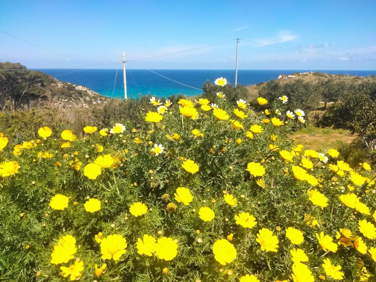 Cala Rossa Hotel Castellammare del Golfo Bagian luar foto